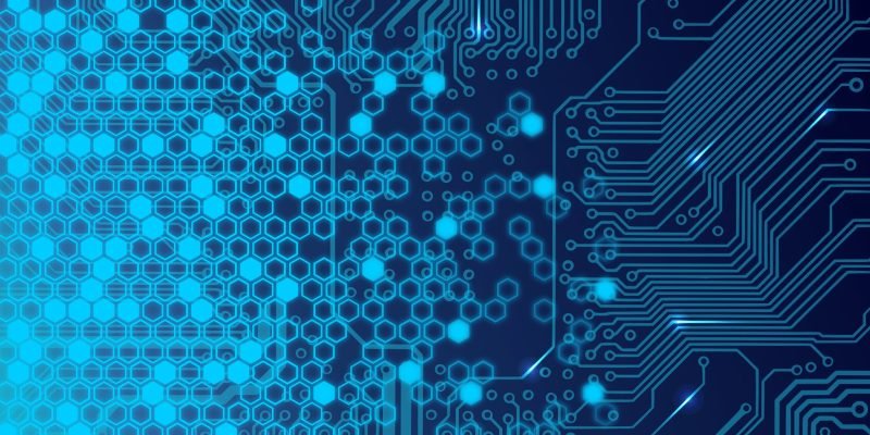 WhatsApp Image 2024-12-29 at 11.53.28 PM (2)